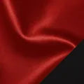 Red/Black fabric swatch